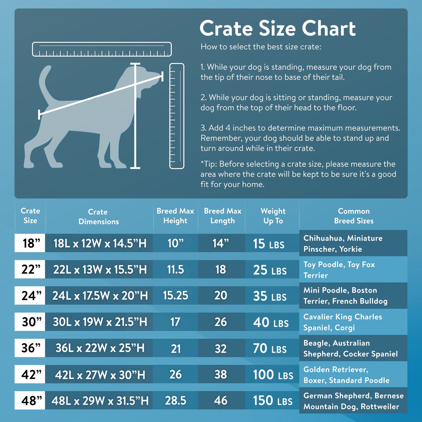 Foldable 48" Wire Crate for Dogs with Divider and Leak-Proof Tray