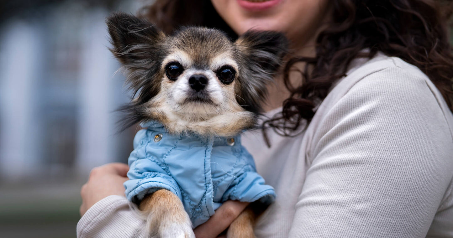 Four Legged Pets Supplies