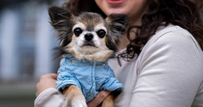 Four Legged Pets Supplies